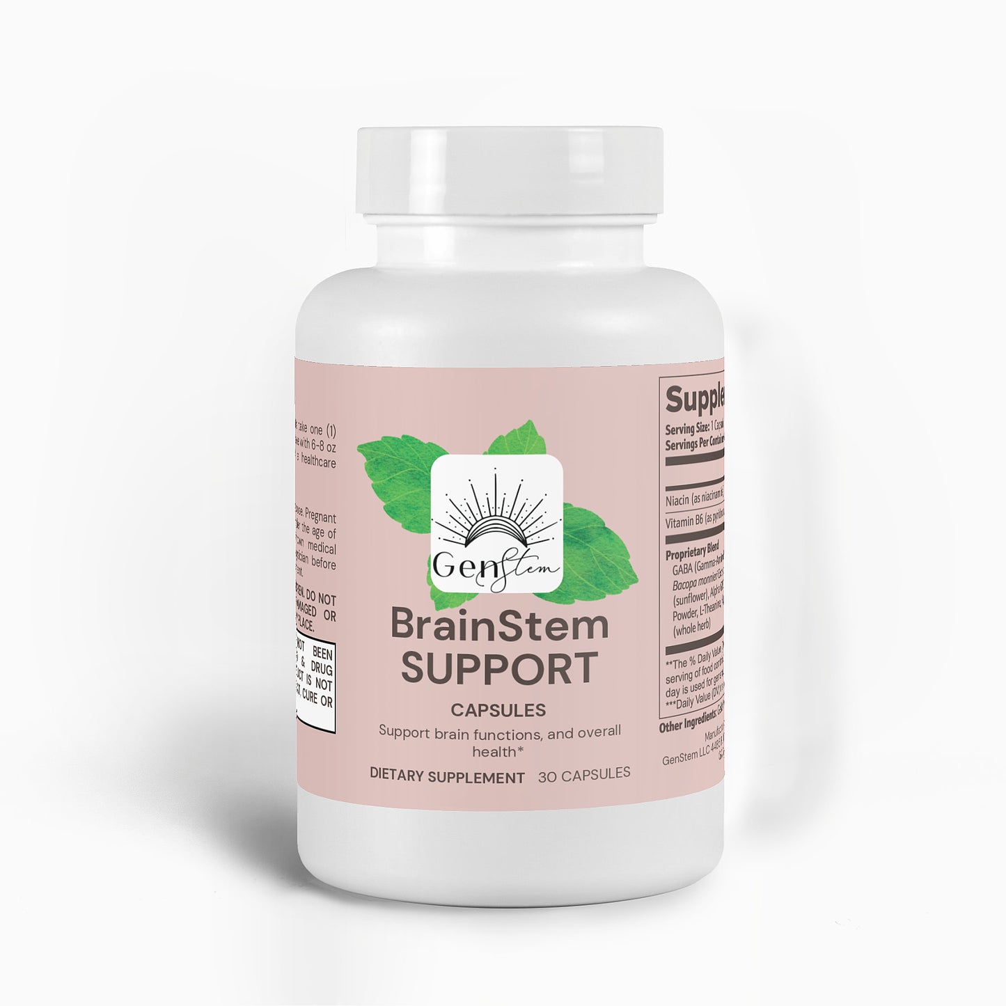 BrainStem Support